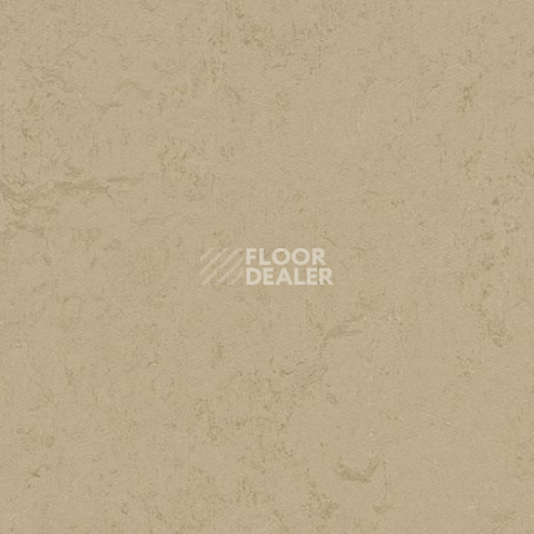 Линолеум Forbo Marmoleum Decibel on Order 372835 kaolin фото 1 | FLOORDEALER
